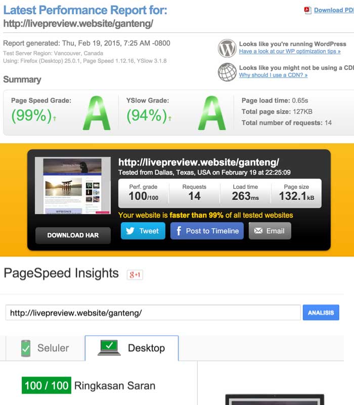 ganteng-landing-pagespeed