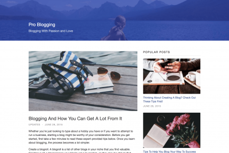 Auriga WordPress Theme